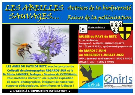exposition-abeilles-musee-pays-de-retz-06-2022